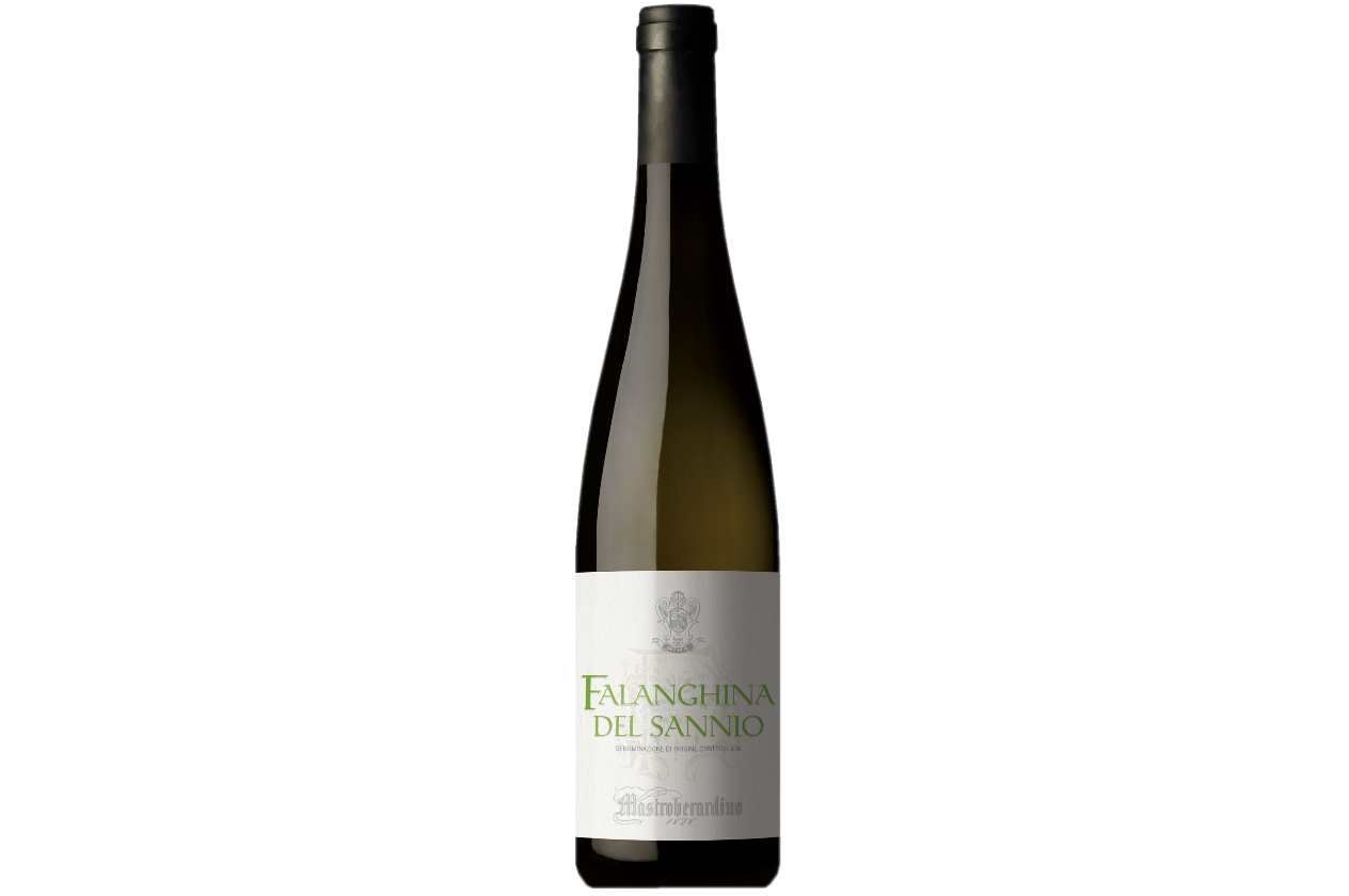2025er Falanghina del Sannio D.O.C.