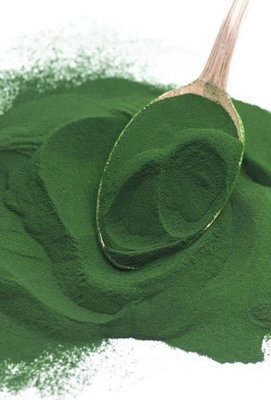 5KG of SUPER FOOD - Natural Source of Protein - SPIRULINA