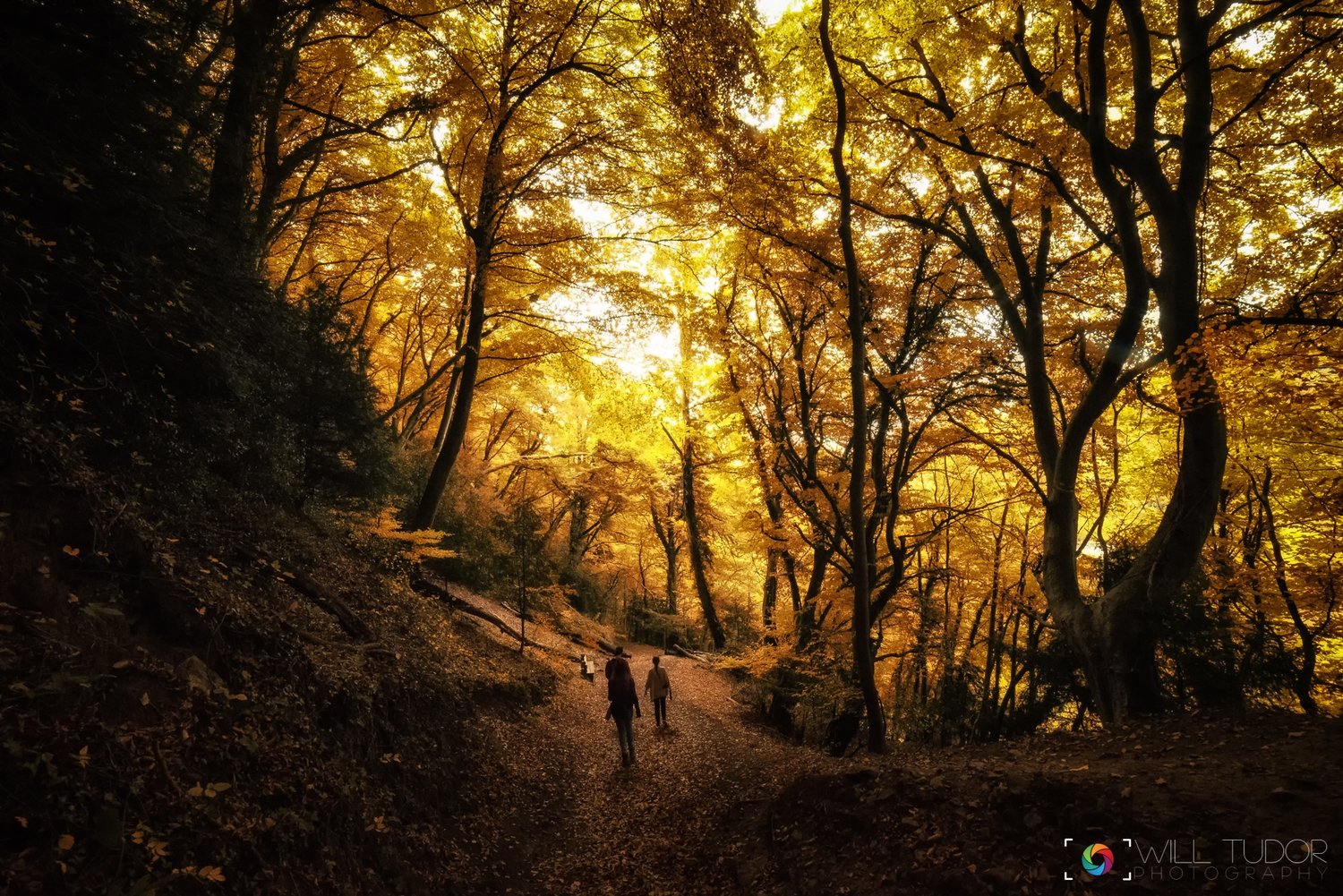 Simonds Yat - A4 Print, Mounted