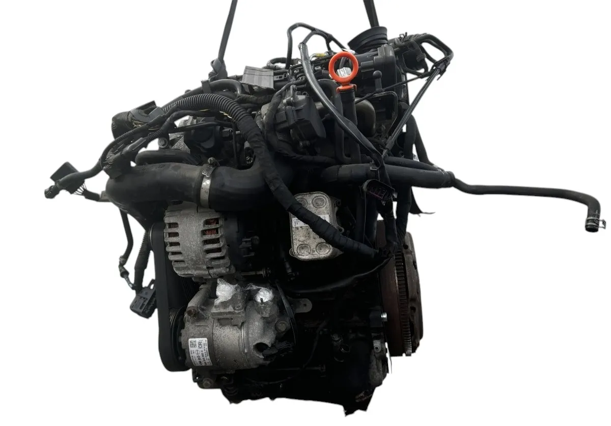 CFWA двигател пълен CFW Seat Ibiza IV 1.2tdi 55kw