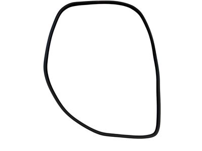 GENUINE Land Rover Range Rover Sport L320 FRONT DOOR RUBBER WEATHERSTRIP SEAL