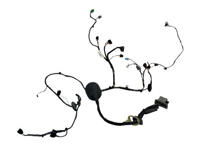 GENUINE Land Rover Range Rover Sport L320 FRONT DRIVER DOOR WIRE LR021109