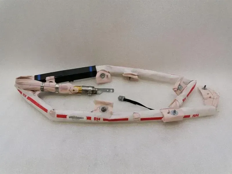 TESLA MODEL S 90D Roof Module 1005262-00-D Module CURTAIN ROOF HEAD