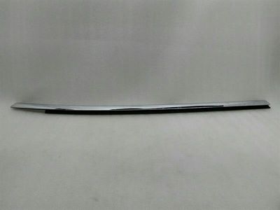 Tesla Model S 70 FLH Door Moulding 1038393-00-A Front Left Door Strip