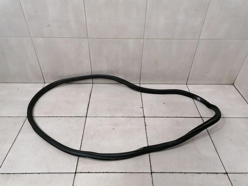 BMW iX i20 40 door seal rear left 8491451 door gaskets rear left