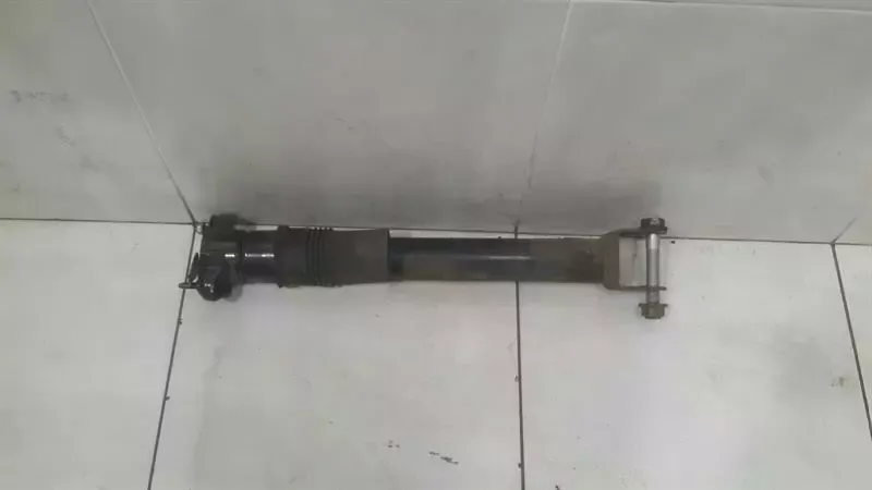 Mercedes R Class W251 Shock Absorber Rear A2513201531 Shock Absorber Rear Left