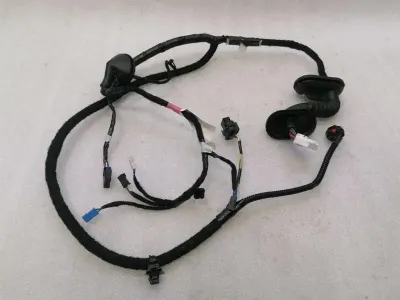 TESLA MODEL 3 STANDARD RANGE RRH Door Wiring Loom 2067966-00-B Tur Hi Harness