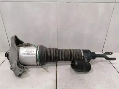 Bentley flying track shock absorber front 3W5616040M shock absorber front right