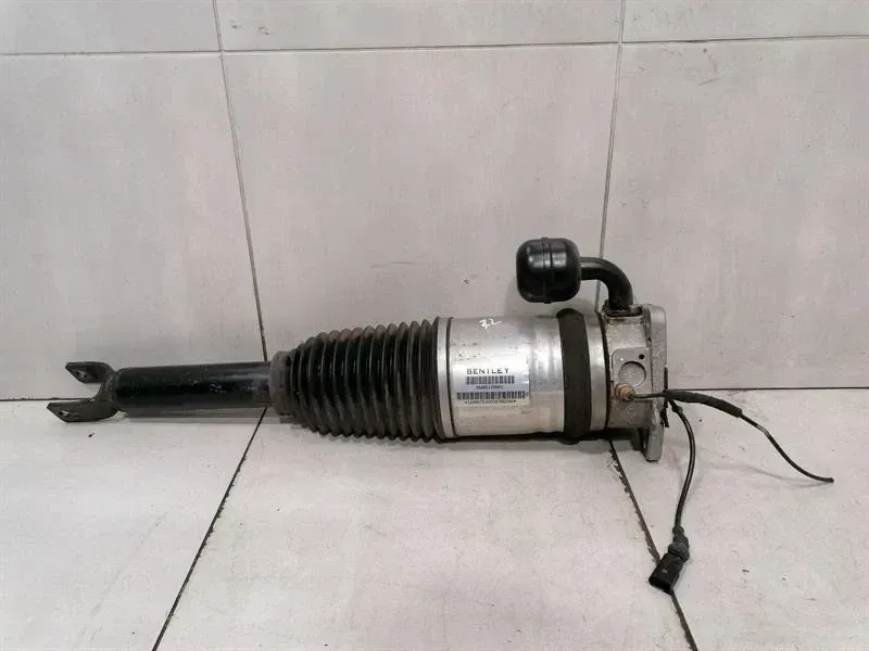 BENTLEY FLYING TRACK MK2 13-19 Shock Absorber RLH 4W0616001 Shock Absorber Rear L