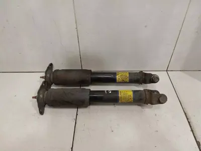 Chevrolet Corvette C6 shock absorber rear set 10302879 shock absorber rear set