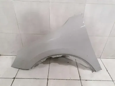 Porsche Cayenne 9Y MK3 E3 kreisais spārns 9Y0821104A priekšējais kreisais spārns