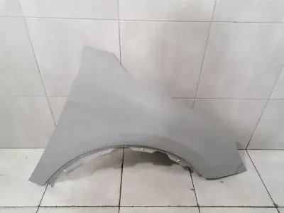 Porsche Cayenne 9Y MK3 E3 Prawy błotnik 9Y0821106B Przedni prawy błotnik