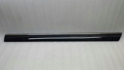 Mercedes S-Klasse W220 RLH Karosserieformteil A2206901362 Leiste Hinten Links LWB