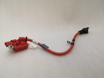 Rolls Royce Ghost Series II 2 Wiring Loom 9217033 Кабелен сноп