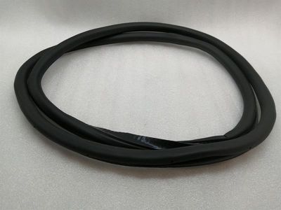 ROLLS ROYCE GHOST SERIES II 2 Türdichtung 51727200325 Türdichtungen HINTEN R=L