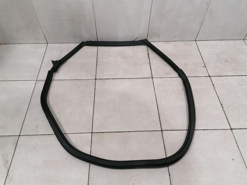 Ferrari Purosangue F175 door seal 880110 door seals LH rear door rear left