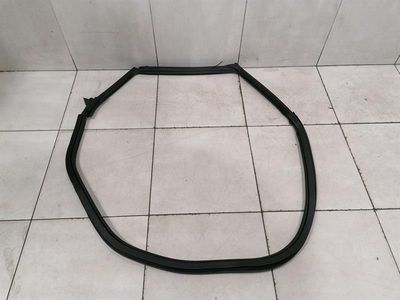 Ferrari Purosangue F175 door seal 880110 door seals LH rear door rear left