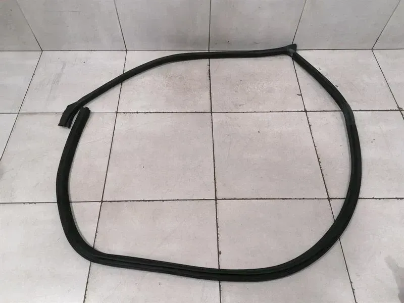 Ferrari Purosangue F175 door seal 880282 door seals front left front left