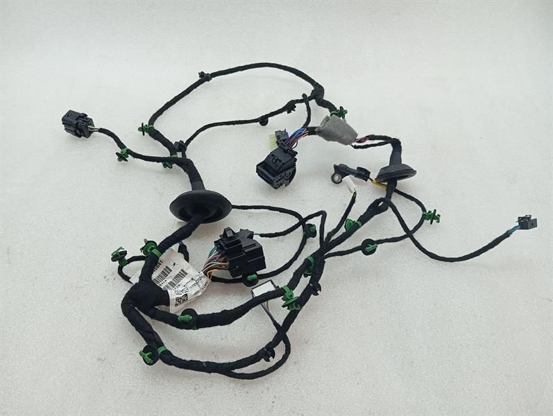 Ferrari Purosangue F175 Wiring Loom 845641 FL DOOR Wiring Harness