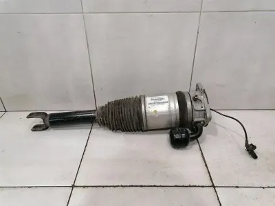 Bentley Continental GT W12 shock absorber rear 3W8616002 shock absorber rear