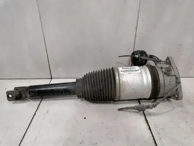 BENTLEY CONTINENTAL GT W12 Shock Absorber RLH 3W0616001B Shock Absorber Rear Li