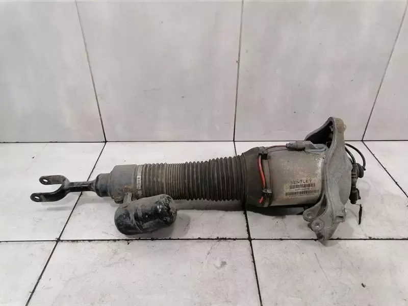 Bentley Continental GT W12 Shock Absorber Front 3W0616039C Shock Absorber Front LH