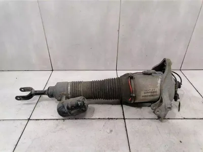 Bentley Continental GT W12 Shock Absorber Front 3W0616039C Shock Absorber Front LH