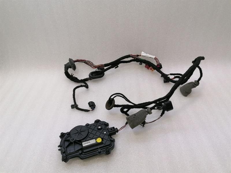 BENTLEY CONTINENTAL GT Right Door Wiring Loom 3W0971121P Right Door Harness