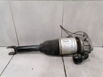 Bentley Continental GT W12 Shock Absorber RRH 3W0616002B Rear Shock Absorber