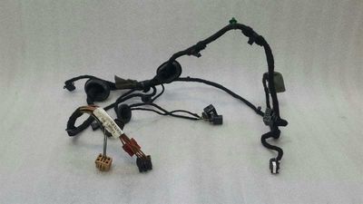 Bentley Continental GT Passenger Door Wiring 3W0971120M Door Wiring Harness Passenger