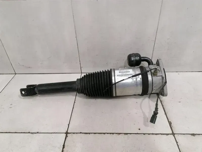 Bentley Continental GT W12 shock absorber rear 3W8616001 shock absorber rear