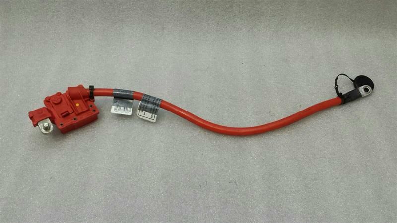 BMW 5 Series F07 GT Wiring Loom 9217035 Wiring Harness + Positives