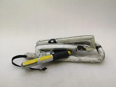 Mercedes G-Wagen W463 Right Module A4638600202 Right Module