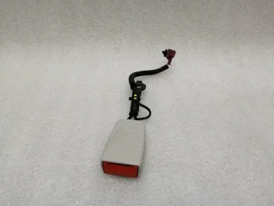 Mercedes S Coupe W217 Belt Buckle A2178600969 Belt Buckle