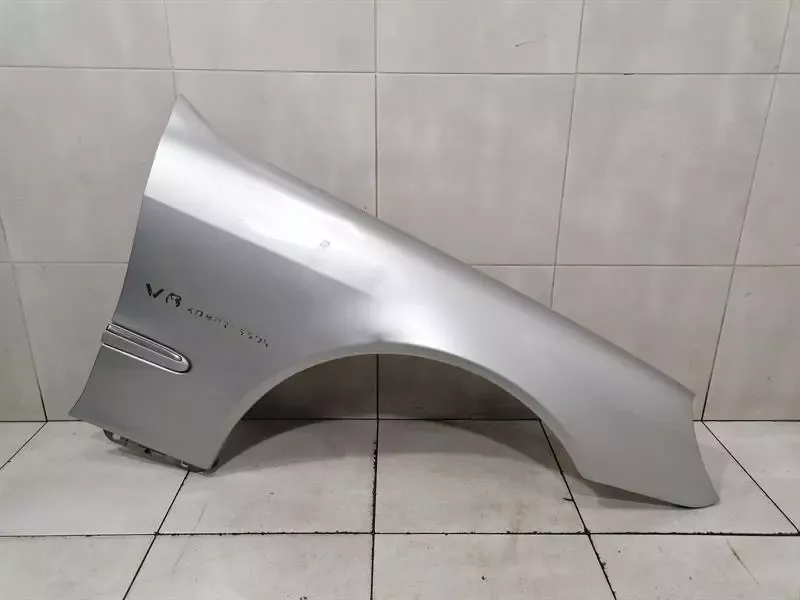 Mercedes S-class W220 Right Wing A2208800418 Front Right Fender