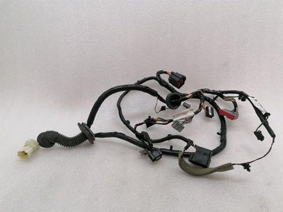 ASTON MARTIN VANTAGE V12 Wiring Loom BG33-14630-AA Harness LH DOOR