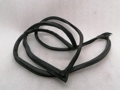 ASTON MARTIN VANTAGE V12 Türdichtung 6G33-C20708-AH Türdichtungen RECHTS