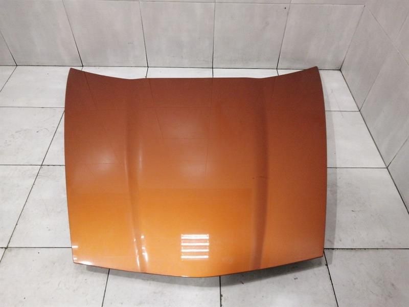 Chevrolet Corvette C6 Bonnet 25805421 Hood