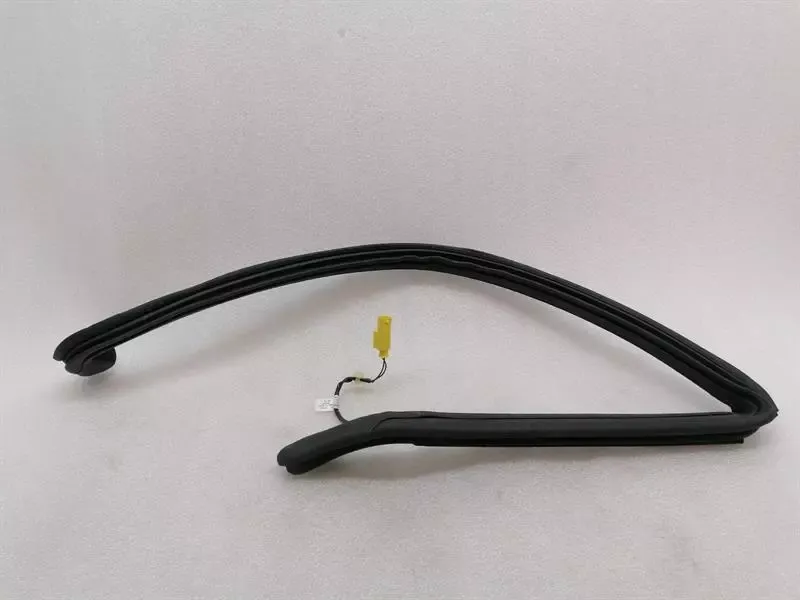 ASTON MARTIN RAPID S Door Seal ED43-F20708-DB Door Seals HEATED RR REAR