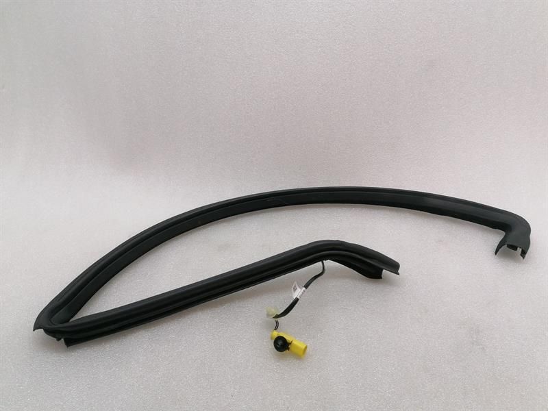 ASTON MARTIN RAPID S Door Seal AD43-F20709-B Door Seals LH