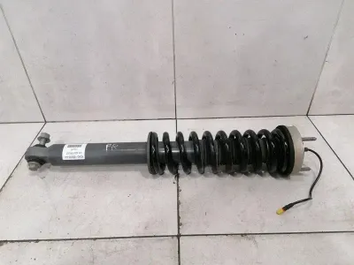 Aston Martin Rapide AMR Shock Absorber Front KD43-18B036-AA Front Shock Absorber