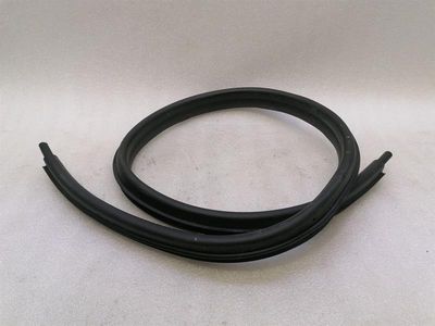 Porsche Boxster GT4RS Spyder Door Seal 98153707505 Door Seals