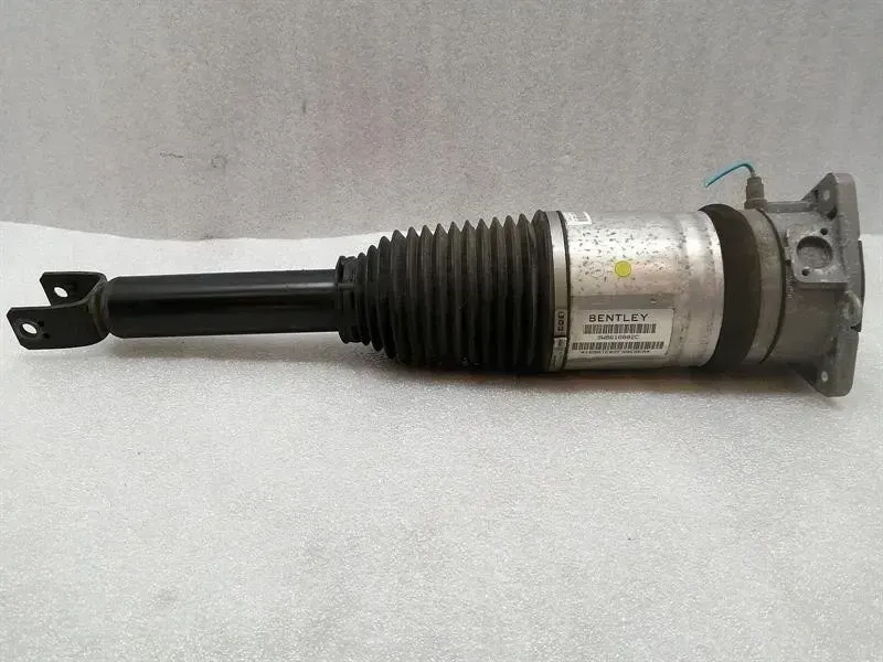 Bentley Continental GT V8S shock absorber rear 3W8616001F shock absorber rear