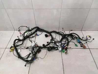 Ferrari Roma F169 Wiring Loom 806984 Harness DASHBOARD RHD