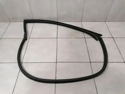 Ferrari Roma F169 Türdichtung 783106 RH Türdichtungen RECHTS