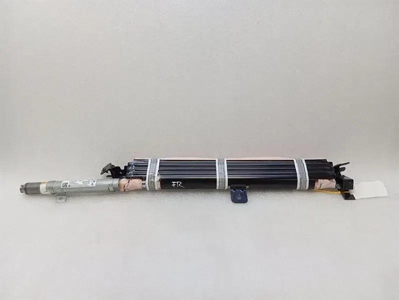 Ferrari Rome F169 Module 842424 RH Module RH COMPL. RH DOOR HEAD BAG