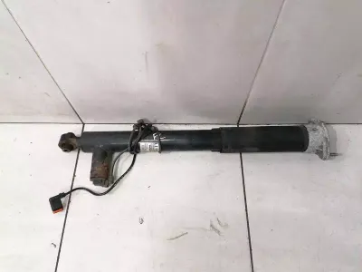 Mercedes CLS W218 shock absorber rear EDC A2183200130 shock absorber rear Li EDC