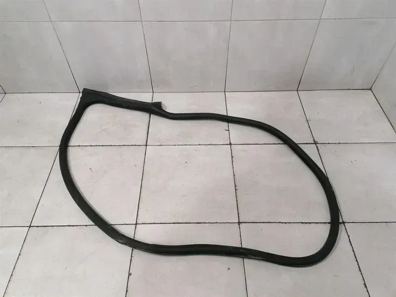 Porsche Taycan 9J Door Seal 9J1831721AL LEFT FRONT Door Seals