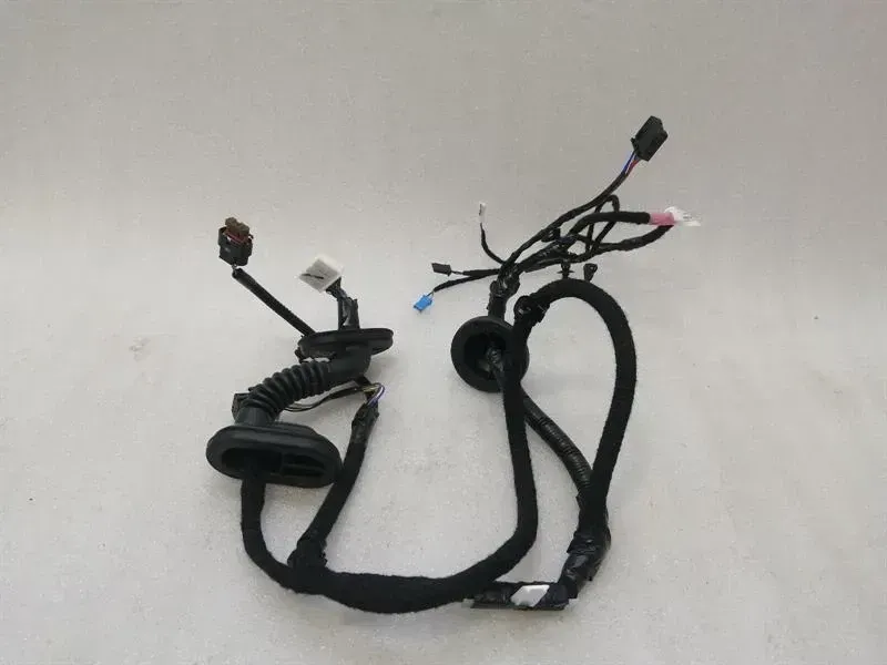 Tesla Model 3 RRH Door Wiring Loom 2067966-00-B Rear Right Door Harness