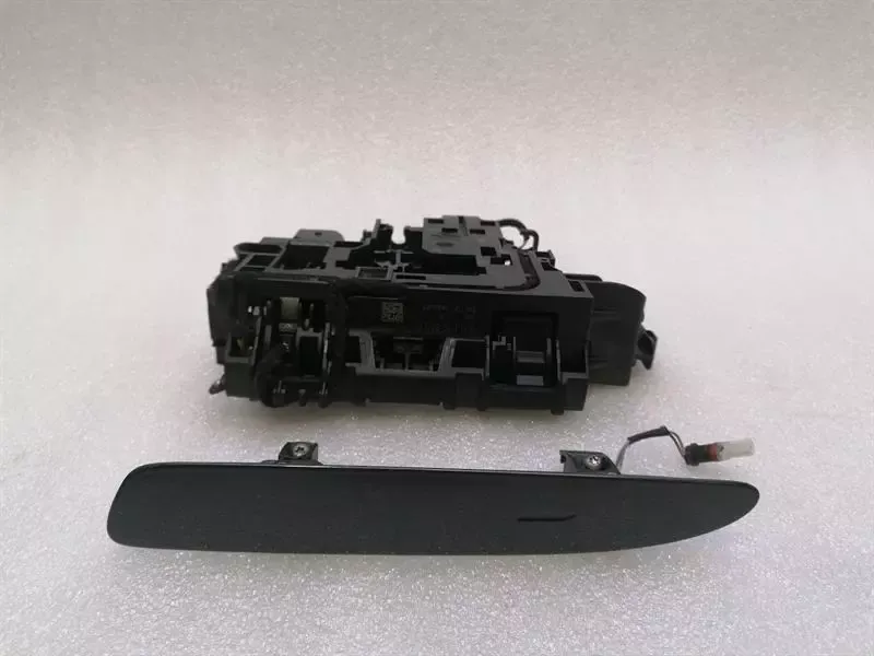Porsche Taycan 9J door handle 9J1839885A RL HL door handle